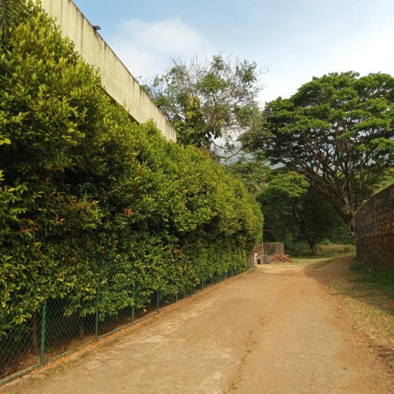 Whatsapp Image 2024 03 22 At 8.19.26 Am